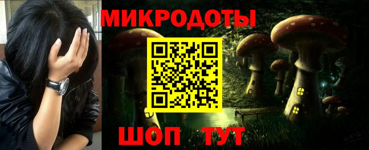 Жигулёвск  магазин продажи   Вход с VPN  Псилоцибиновые грибы GOLDEN TEACHER 